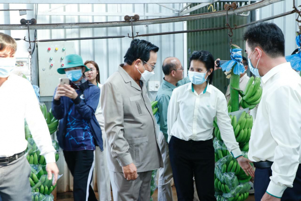 រដ្ឋមន្ត្រីក្រសួងការងារ ចុះសួរសុខទុក្ខកម្មករ និងជំរុញការអនុវត្តគោលនយោបាយជាតិស្តីពីមុខរបរ និងការងារ នៅក្រុមហ៊ុនកសិកម្មដ៏ធំមួយនៅខេត្តក្រចេះ